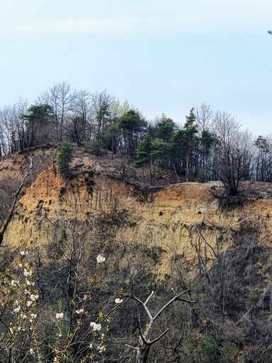  Tra gli impegni di Canale Ecologia la prosecuzione delle acquisizioni di nuovi boschi e il potenziamento dell'attività di "outdoor education" nei confronti delle scuole