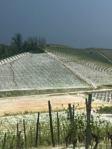 Le colline di Canale nei minuti successivi alla grandinata Le colline di Canale nei minuti successivi alla grandinata