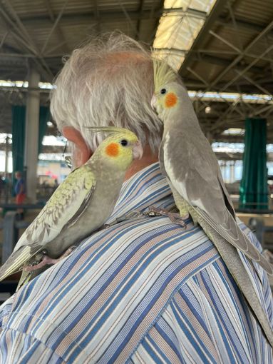 Al Miac di Cuneo torna l’appuntamento col mercatino dei piccoli animali