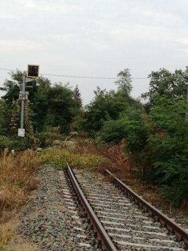 La ferrovia Cuneo-Mondovì nei pressi di Pogliola La ferrovia Cuneo-Mondovì nei pressi di Pogliola