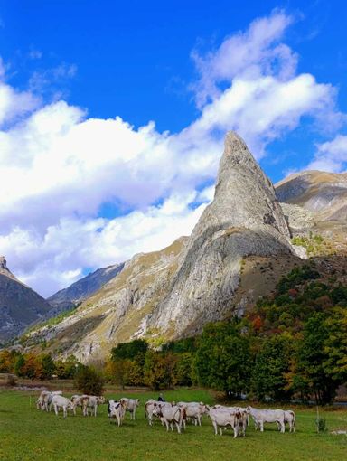 Con la miglior ambientazione, la fotografia “Meeting alla Rocca Provenzale" è la vincitrice assoluta del 24° Concorso Fotografico “La mia Piemontese”