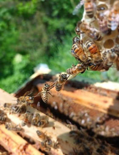 Immagine di repertorio Immagine di repertorio