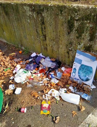Tra i rifiuti gettati a terra i suoi dati personali: albese multato e obbligato  a pagare i danni della pulizia