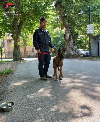 La collaborazione tra il Comune cheraschese, la Polizia Locale e i Carabinieri Forestali ha permesso di attivare l’unità cinofila antiveleno per la bonifica dell’area