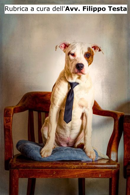 Zitto e lavora! Zitto e lavora!