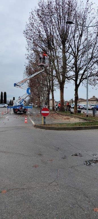 Alba: modifiche alla viabilità per la manutenzione del verde cittadino Alba: modifiche alla viabilità per la manutenzione del verde cittadino