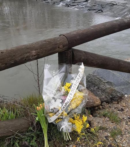 Mimose e fiori per Jasmine Mimose e fiori per Jasmine