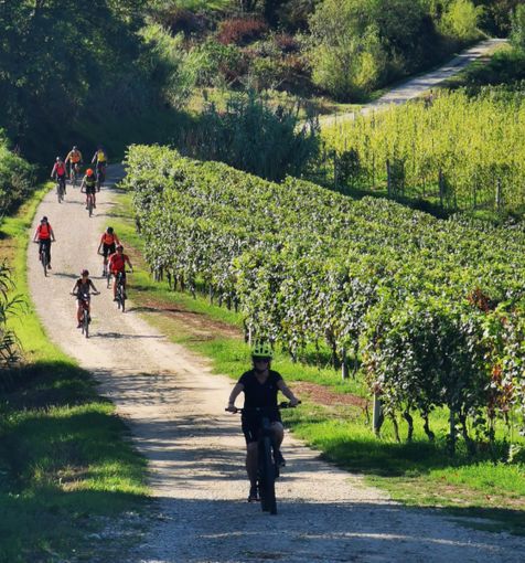 “Roero Bike Destination” tra i progetti finanziati da Fondazione CRC