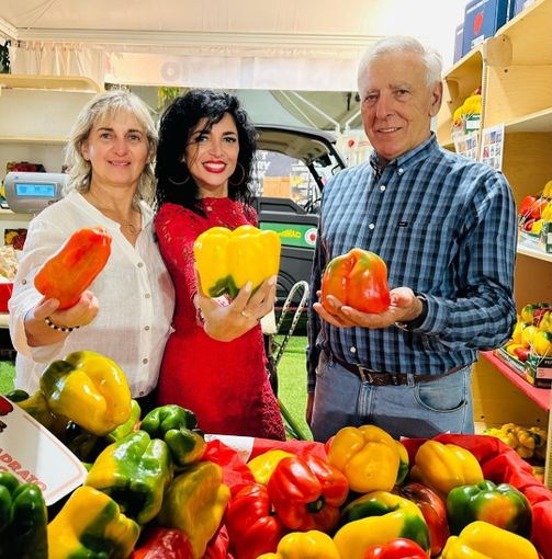 Doi povron bagnà ant l’euli: ma quale olio? Doi povron bagnà ant l’euli: ma quale olio?