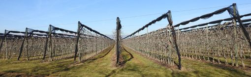 Immagine di repertorio