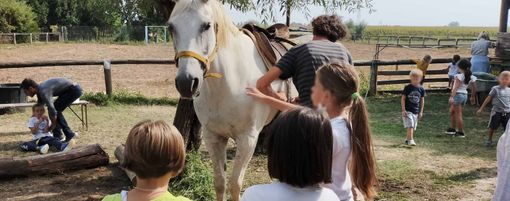 A Bra anche quest’estate arriva il "Campo natura" organizzato da Piedi per Terra A Bra anche quest’estate arriva il "Campo natura" organizzato da Piedi per Terra