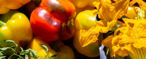 Import, Coldiretti Cuneo: "I cibi esteri rispettino salute, lavoro e ambiente"