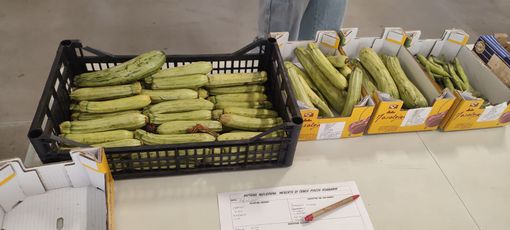 Cuneo, una rete contro spreco alimentare e povertà. Associazioni e Caritas uniscono le forze per sostenibilità, inclusione e solidarietà