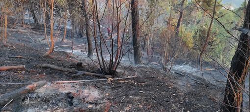L'elicottero in azione