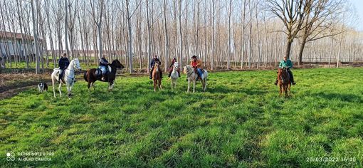 Primavera al galoppo sui sentieri del Roero per i Cavalieri del Bandito