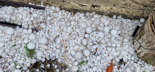 Telefonata Cirio-Lollobrigida: Governo pronto a sostenere l'agricoltura piemontese colpita dalle grandinate