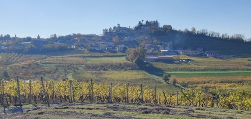 Giovani Frequenze propone “Quel Festival” con eventi itineranti