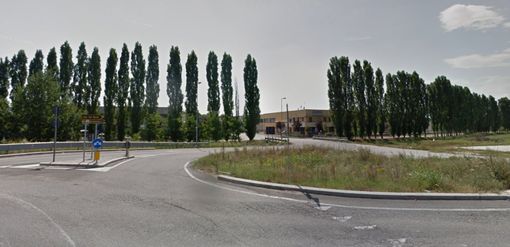 Saranno probabilmente abbattuti i pioppi dell'area industriale