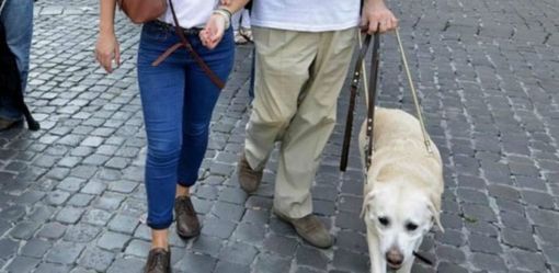 In Piemonte i ciechi e gli ipovedenti in cerca di occupazione sono centinaia. Difficile trovare lavoro se alle difficoltà ordinarie si aggiungono il pregiudizio e la diffidenza