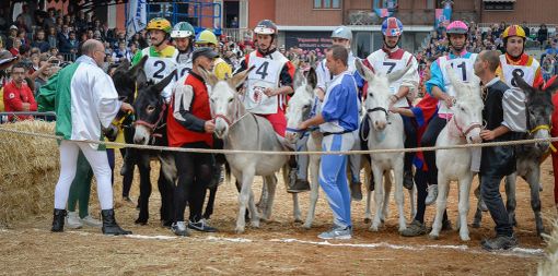 Palio degli Asini, borghi albesi in gara nell’arena di piazza Cagnasso Palio degli Asini, borghi albesi in gara nell’arena di piazza Cagnasso