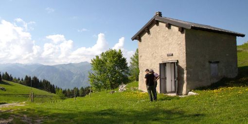 Transumanza con le pecore sambucane del pastore dell’Arpione Transumanza con le pecore sambucane del pastore dell’Arpione