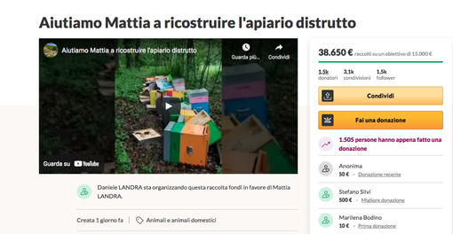 Mattia adesso può ricominciare: più di 38mila euro di donazioni in 24 ore per l'apicoltore cuneese Mattia adesso può ricominciare: più di 38mila euro di donazioni in 24 ore per l'apicoltore cuneese