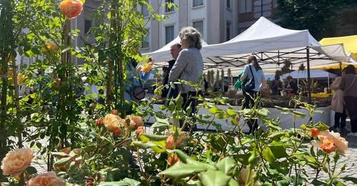 L'evento si è sovlto in piazza San Paolo, sabato 24 e domenica 25 maggio