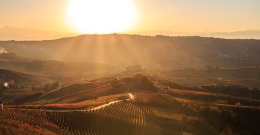 Nel 2012 il riconoscimento Unesco ai paesaggi vitivinicoli del Piemonte