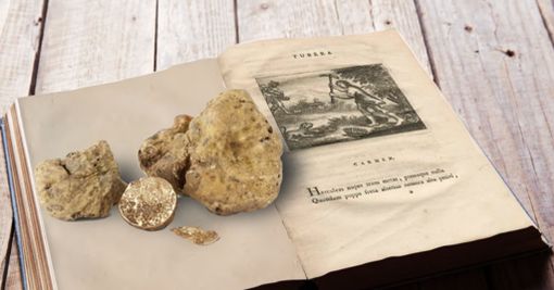 Vezza d’Alba, per la Fiera numero 40 il concorso letterario “Di tartufo si scrive"