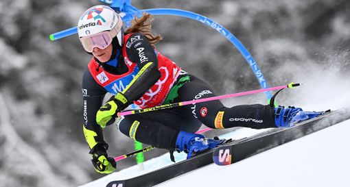 (foto - sito fisi) (foto - sito fisi)