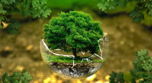 “Langhe a Scuola”: entra nel vivo il progetto di Source International per la biodiversità e la partecipazione pubblica “Langhe a Scuola”: entra nel vivo il progetto di Source International per la biodiversità e la partecipazione pubblica