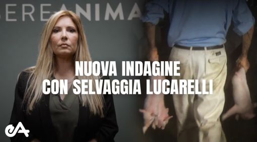 Il caso era stato ripreso dalla nota giornalista Selvaggia Lucarelli