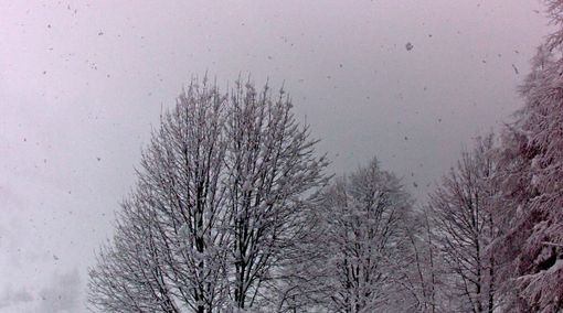 Immagine dalla webcam del Comune di Castelmagno