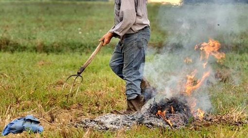 Vezza d'Alba, sospeso il divieto di abbruciamento di residui vegetali prodotti e bruciati sul posto Vezza d'Alba, sospeso il divieto di abbruciamento di residui vegetali prodotti e bruciati sul posto