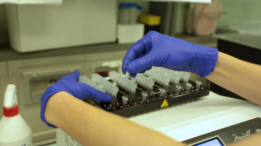 Immagine di repertorio Immagine di repertorio