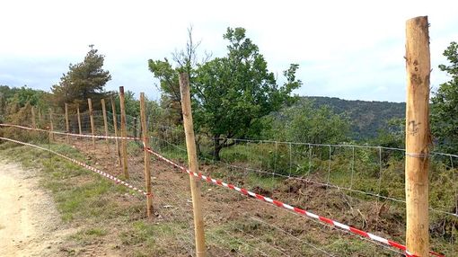 La Psa ora minaccia Astigiano e Cuneese. Marello: "Sarebbe un disastro economico, occorrono misure urgenti"