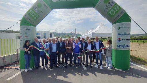 Cherasco, il noccioleto si trasforma in fiera: successo per la prima edizione di “Prove in campo” Cherasco, il noccioleto si trasforma in fiera: successo per la prima edizione di “Prove in campo”