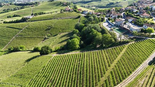 Castiglione Falletto investe sulla biodiversità: i prati di San Lorenzo come spazio vivo tra natura e comunità