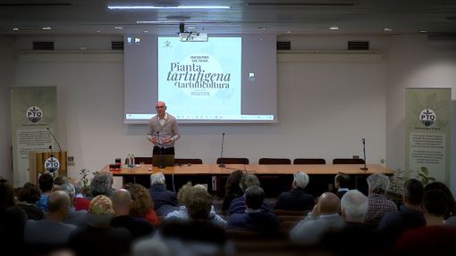 Ad Alba il futuro della tartuficoltura. "Servono consapevolezza, competenze e risorse economiche"