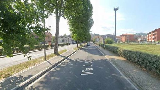 Platani in via Dario Scaglione ad Alba (Immagine estiva) Platani in via Dario Scaglione ad Alba (Immagine estiva)