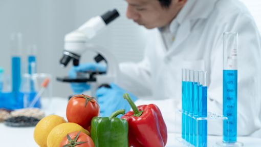 Corso HACCP 2026, Confartigianato Cuneo lancia la prima edizione
