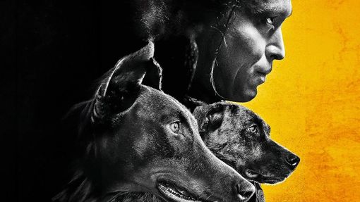 Fossano porta il cinema all'aperto in carcere: prenotazioni aperte per "Dogman" di Luc Besson Fossano porta il cinema all'aperto in carcere: prenotazioni aperte per "Dogman" di Luc Besson