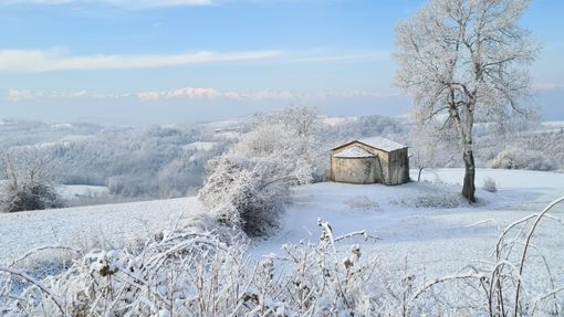 Foto di Pinuccia Sardo