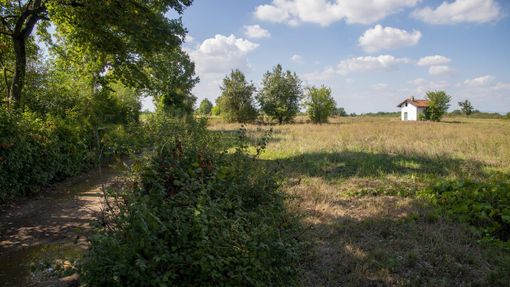 A Sommariva del Bosco si scoprono i nuovi sentieri outdoor