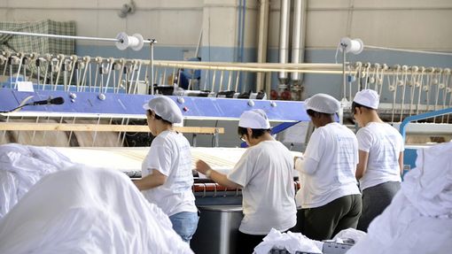 Foto Eurocandidus srl