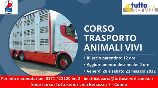 Iscriviti al corso "Conducenti trasporto animali vivi"