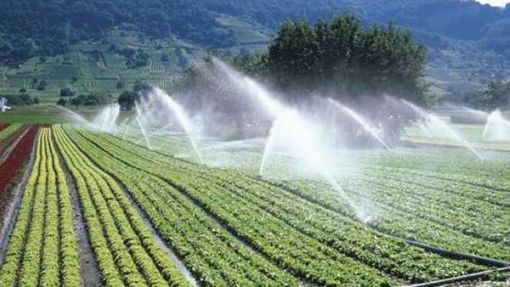 Alluvione del 2016: la Regione stanzia oltre 2milioni di euro per le strutture irrigue danneggiate della Granda Alluvione del 2016: la Regione stanzia oltre 2milioni di euro per le strutture irrigue danneggiate della Granda