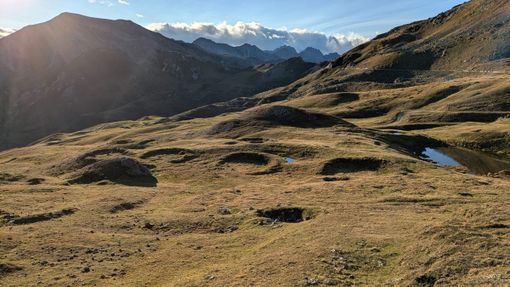 Immagine di repertorio