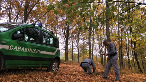 Immagine di repertorio