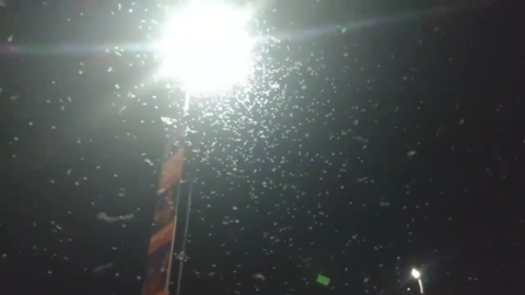 Puntuali, sono tornate: centinaia di migliaia di falene sul ponte sul Tanaro ad Alba (VIDEO) Puntuali, sono tornate: centinaia di migliaia di falene sul ponte sul Tanaro ad Alba (VIDEO)